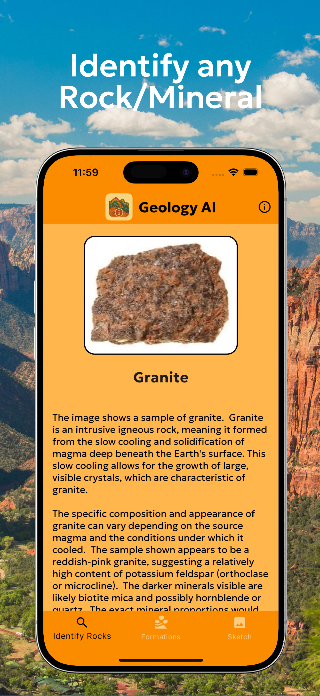 Identification result view