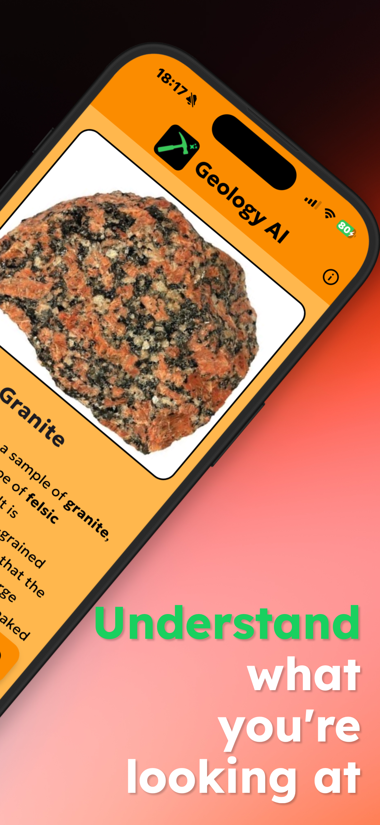 Identification result view