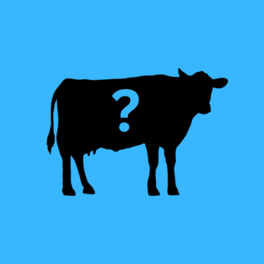 What Cow - AI Cattle Identifier app icon