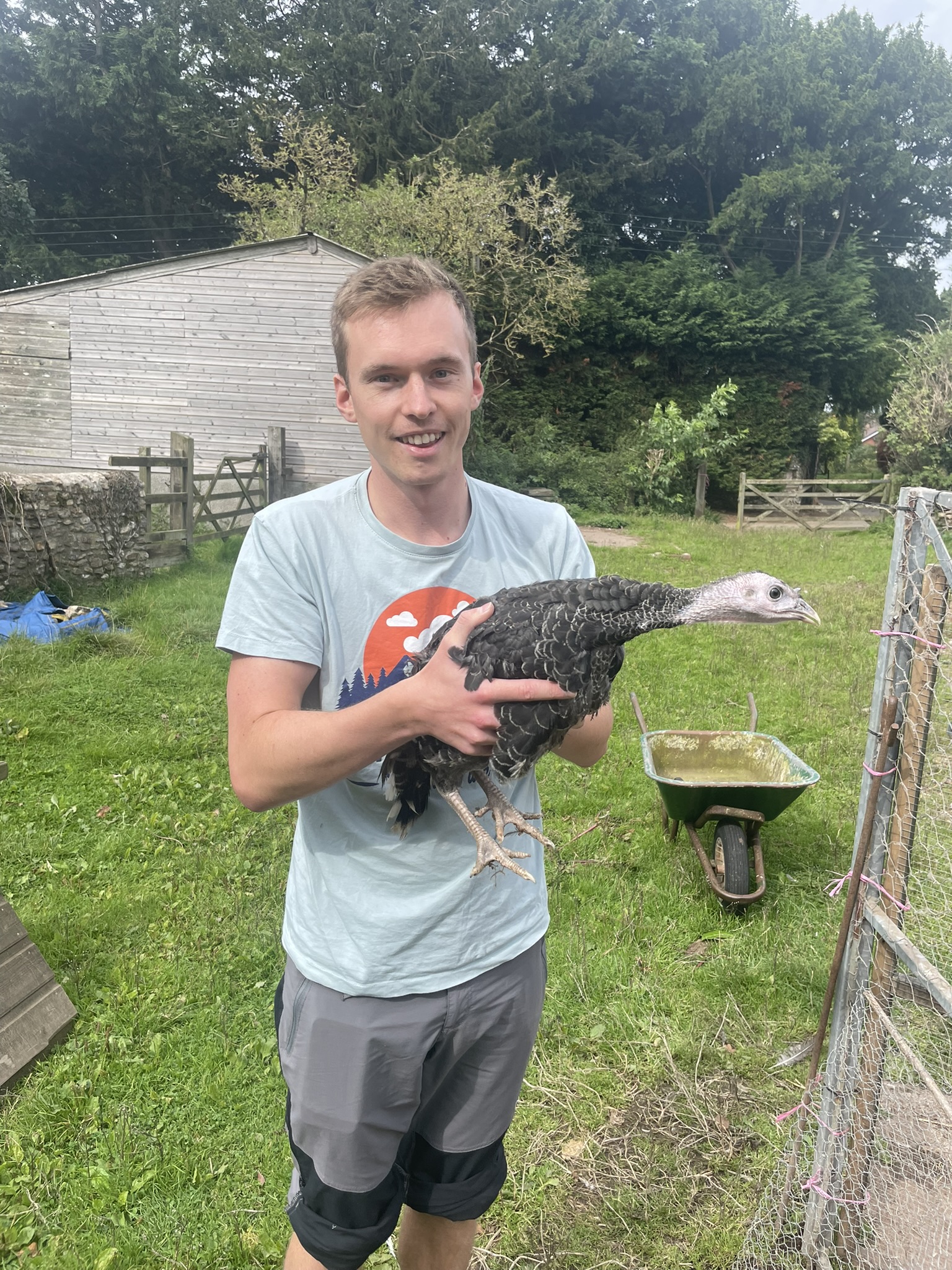 Laurence turkey picture